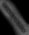GUESTBOOK